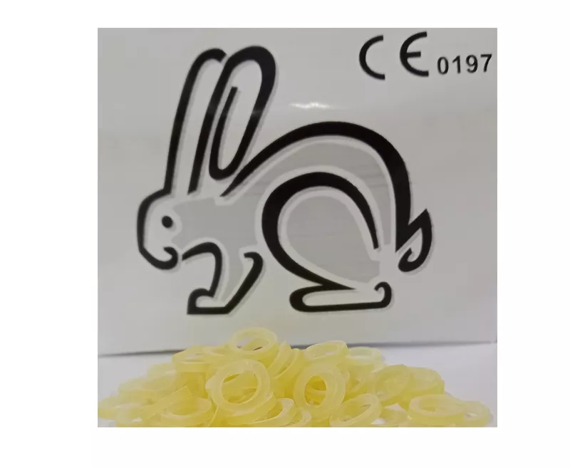 Gummizüge